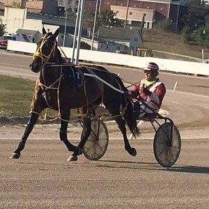 Meet your Posher, Lee